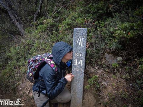 Complete Guide to Hiking Cerro Chirripo National Park, Costa Rica