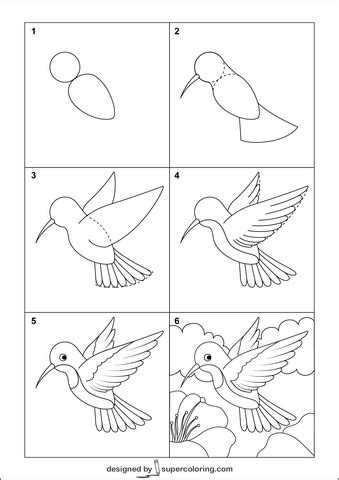 Comment Dessiner Un Colibri De Bande Dessin E Jeux De R Flexion