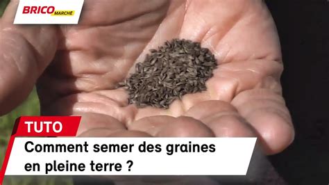 Comment Semer Des Graines En Pleine Terre Bricomarch Youtube