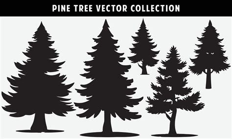 Set Of Pine Trees Silhouettes Vector Graphics For Design 25901520 Vector Art At Vecteezy