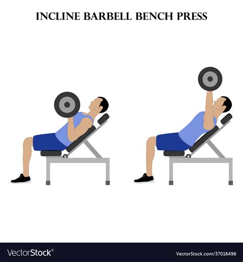 Incline barbell bench press workout exercise Vector Image