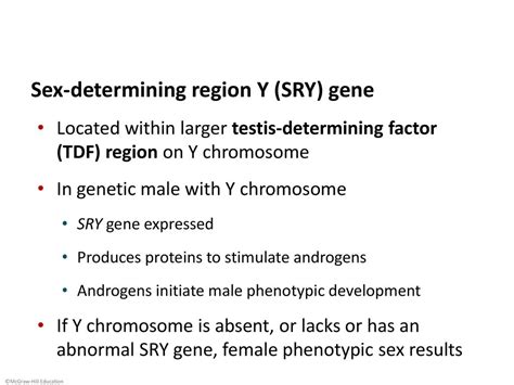 Reproductive System Male Ppt Download