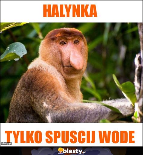 Halynka memy gify i śmieszne obrazki facebook tapety demotywatory