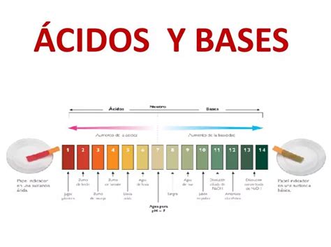 PPT ÁCIDOS Y BASES PowerPoint Presentation free download ID 5724657