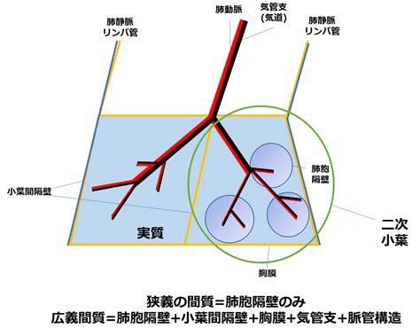 間質性肺炎入門│不識庵 万年研修医のブログ