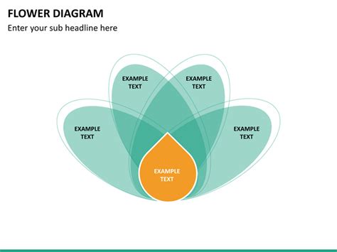 Flower Diagram Powerpoint Sketchbubble