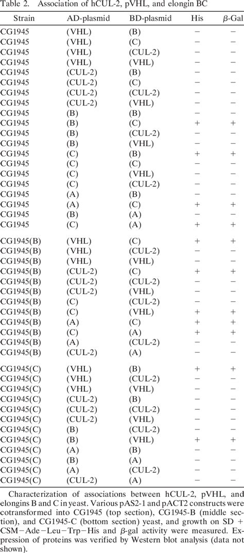 Table From Studying Interactions Of Four Proteins In The Yeast Two