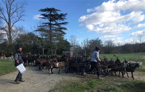 Le Salon Des Fermes Paysannes Le Club