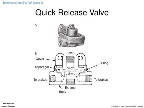 Ppt Chapter 28 Powerpoint Presentation Free Download Id542676