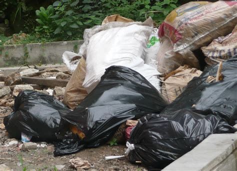 Encuentran Varias Bolsas De Basura Con Restos Humanos En El Este De