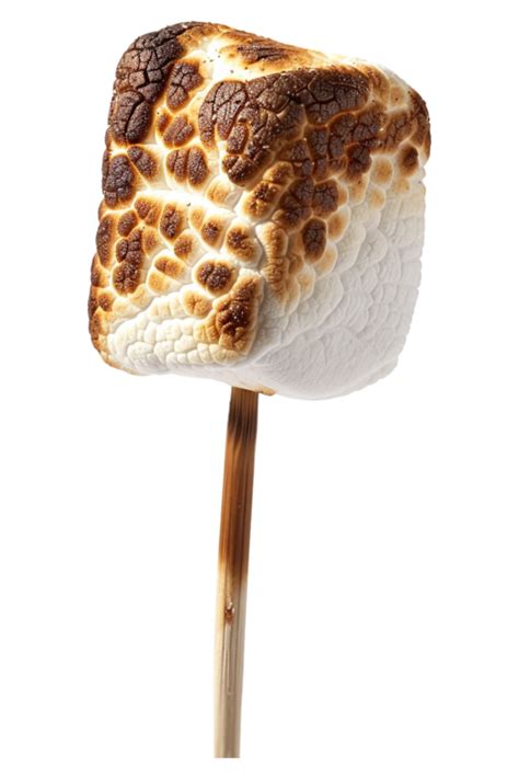 Roasted Marshmallow On Stick Alone Against Transparent Background