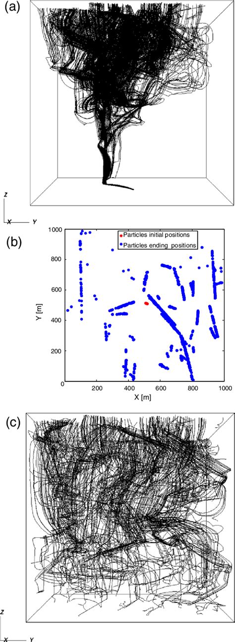 A Five Thousand Particle Trajectories Starting From One Region In The