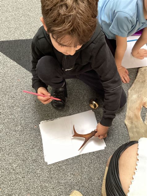 Springhead Park Primary School | Northfleet