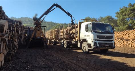 Empresa maderera de Lota podría pagar más de 10 mil millones por