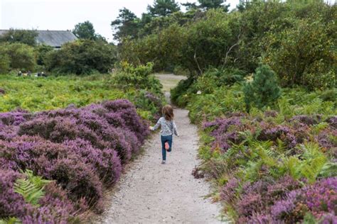 Discover A Summer Of Play With The National Trust In Touch News