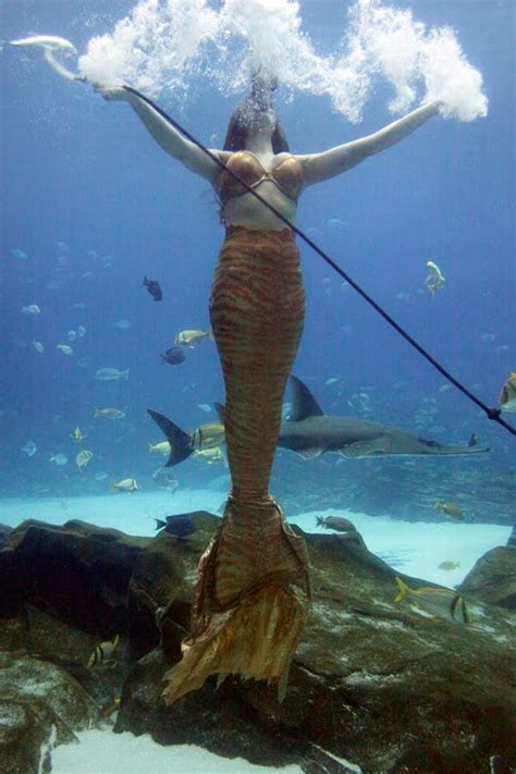 Blondeshot Creative Weeki Wachee Mermaids