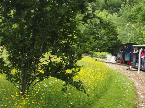 Exbury Gardens Steam Railway Rosemary Steaming Away Flickr