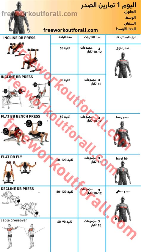 جدول تمارين كمال اجسام 5 ايام Gym Schedule Gym Workout Chart Gym