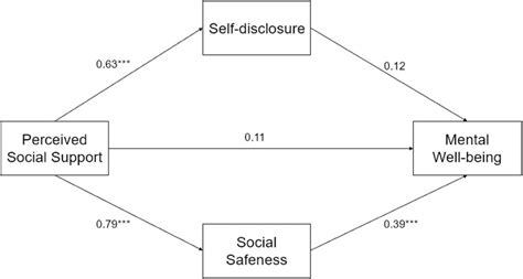 Relationships Matter Social Safeness And Selfdisclosure May Influence