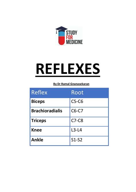 A List Of Reflexes Biceps C5 C6 Brachioradialis C6c7 Triceps