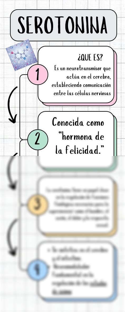 SOLUTION Infografia Serotonina Studypool