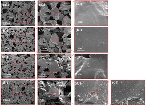 Sem Micrographs Of Neat Pva And Its Go Composites A1‒a3 Neat Pva