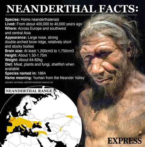 Arthritis: Neanderthal DNA may increase your risk of rheumatoid ...