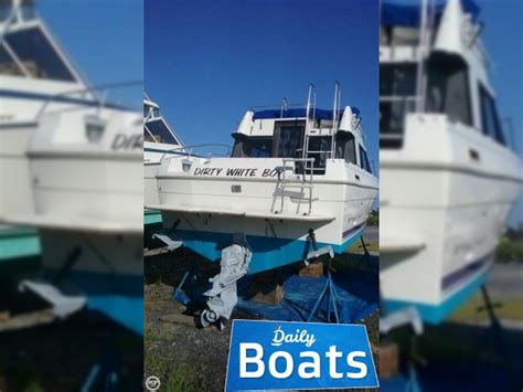 1994 Bayliner Boats 25 For Sale View Price Photos And Buy 1994