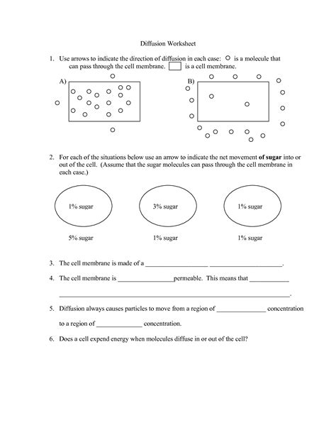 Diffusion Vs. Active Transport Worksheet