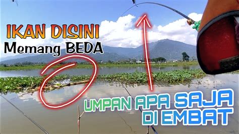 INFO A1 PEMANCING BERDATANGAN Di Semua Titik Ikan Makan Spot