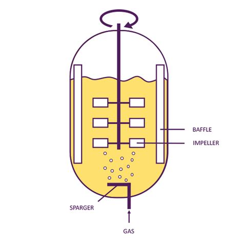 Tipos De Biorreactores Cultiply