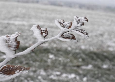 Météo Va t il vraiment faire très froid la semaine prochaine