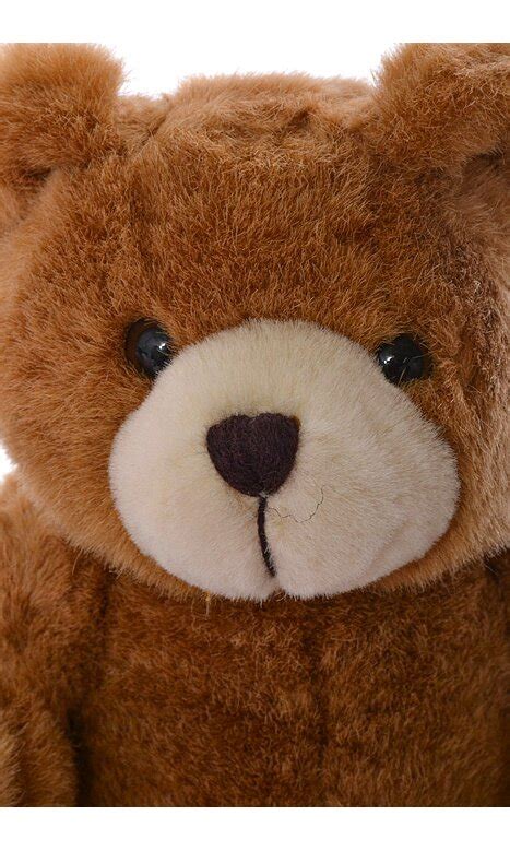 10 Teddy Bear Brown