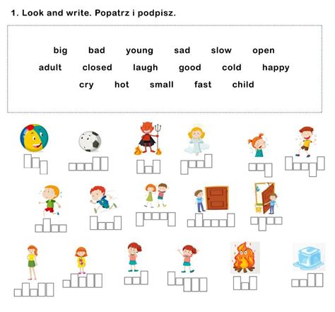 Opposites Interactive Activity Live Worksheets