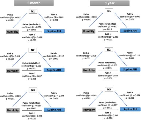 Mediation Analysis Of The Sleep Cycle N1 N2 And N3 Of 6 Month And Download Scientific