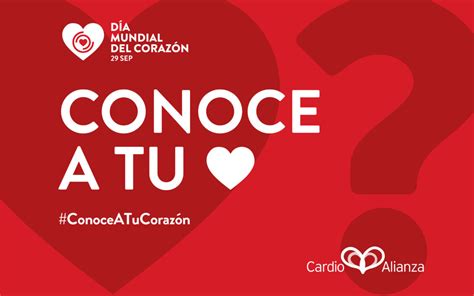 Conoceatucoraz N Para Poder Cuidarlo Mejor Cardio Alianza