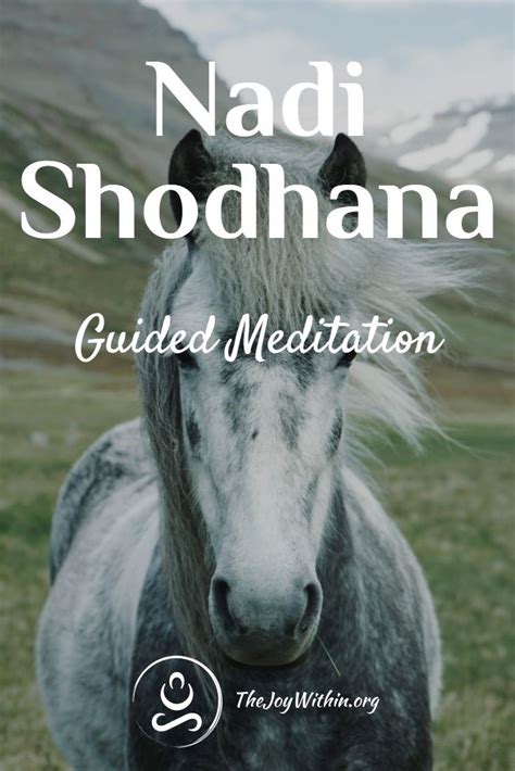 Guided Nadi Shodhana Meditation Alternate Nostril Breathing