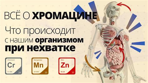 Хромацин от Оптисалт – хром, марганец и цинк. Зачем нужен и как ...