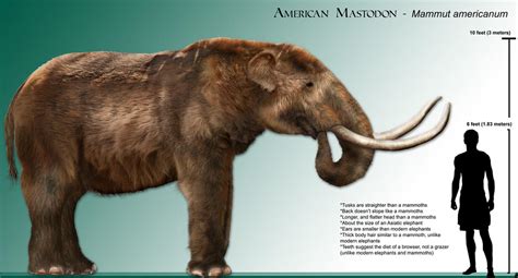 Updated Mastodon By Dantheman9758 On Deviantart