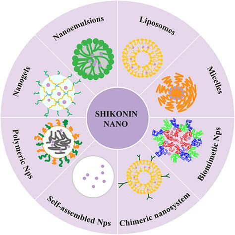 Full Article Promising Nanomedicines Of Shikonin For Cancer Therapy