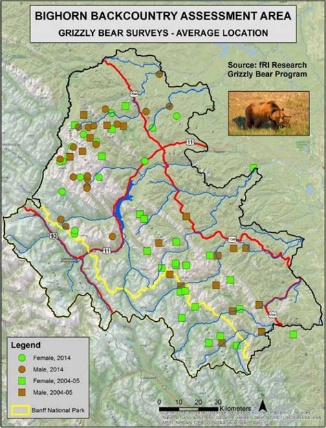 Exploring The Mysteries Of Forestry Trunk Road Map - Map Of Europe