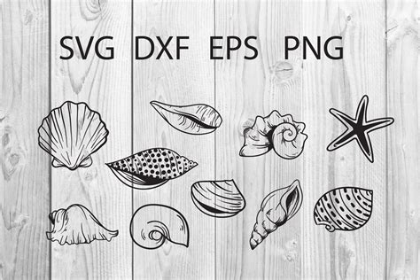 Seashell Cut File Svg Graphic By Dadan Pm Creative Fabrica