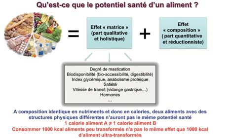 Les Di T Ticiennes Les Aliments Ultra Transform S Partie Th Orique