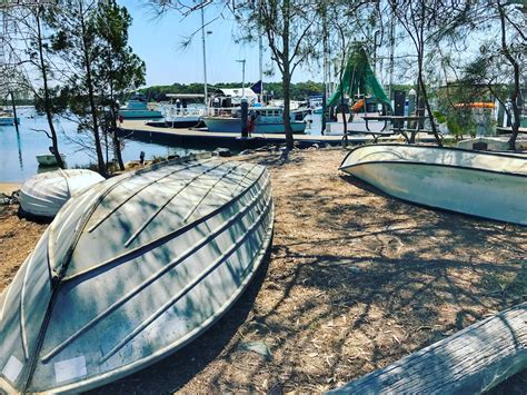 10 Things To Do And See In Tin Can Bay Queensland Camps Australia Wide