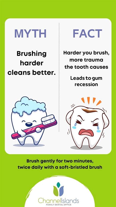 Myth Fact Dentist Artofit