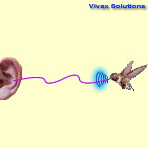 Doppler Effect Animation Ambulance