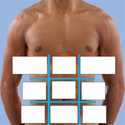 Nine Abdominopelvic Regions Diagram Quizlet