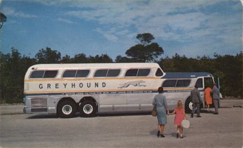 Americas Favorite Bus The Super Scenicruiser Buses Postcard