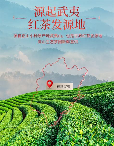 【专享】茶马世家 Jdyf200bhstd正山小种2022新茶小种红茶浓香型武夷山红茶桐木关罐装茶叶200g