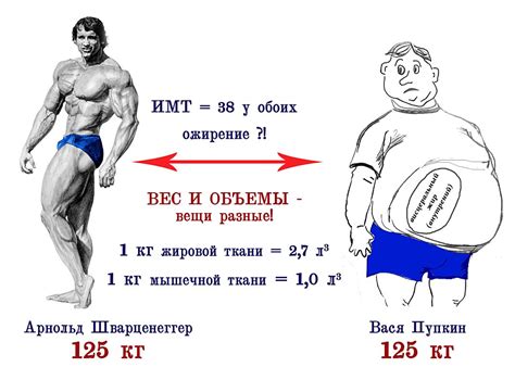 Как уменьшить процент жира и увеличить мышечную массу а вес оставить